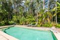 Property photo of 31 Eudlo Flats Road Diddillibah QLD 4559