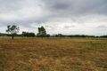 Property photo of 685 Kamilaroi Highway Braefield NSW 2339