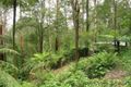 Property photo of 7 Guilfoyle Drive Sassafras VIC 3787