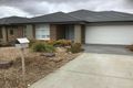 Property photo of 17 Telopea Avenue Wallan VIC 3756