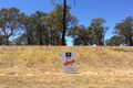 Property photo of 7 Pyrus Avenue Branxton NSW 2335