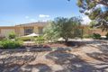 Property photo of 101 Daniel Avenue Globe Derby Park SA 5110