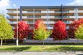 Property photo of 43/40 Philip Hodgins Street Wright ACT 2611