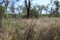 Property photo of 239 Brickworks Road Bushley QLD 4702