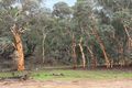 Property photo of 293 Morley Road Lower Chittering WA 6084