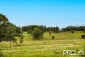 Property photo of 180 Runnymede Road Kyogle NSW 2474