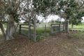 Property photo of 446 Rendalls Road Eureka QLD 4660