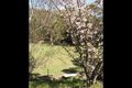 Property photo of 36 Quarry Road Dural NSW 2158