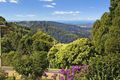 Property photo of 614 Trees Road Tallebudgera QLD 4228