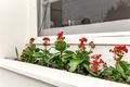 Property photo of 336 Gilbert Road Preston VIC 3072