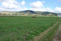 Property photo of 52 Mulgowie Road Laidley South QLD 4341