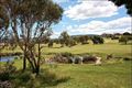 Property photo of 100 Rapid Drive McCracken SA 5211