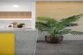 Property photo of 21A Holmesdale Street Marrickville NSW 2204