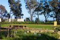 Property photo of 3 Mackenzie Place Sandhurst VIC 3977