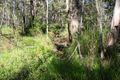 Property photo of 4 Thomas Road Curra QLD 4570