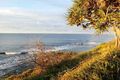Property photo of 30 Seaview Terrace Moffat Beach QLD 4551