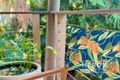 Property photo of 74 Freshwater Road Jingili NT 0810