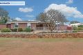 Property photo of 21 Wilkins Road Kalamunda WA 6076
