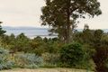 Property photo of 3 Shell Bay Road Lower King WA 6330