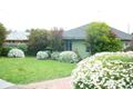 Property photo of 25 Margot Street Chadstone VIC 3148