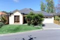 Property photo of 6 Motley Avenue Fulham Gardens SA 5024