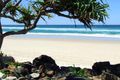 Property photo of 408/10 Third Avenue Palm Beach QLD 4221