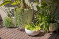 Property photo of 12 Henry Street Balmain NSW 2041