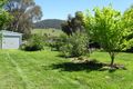 Property photo of 96 Day Avenue Omeo VIC 3898