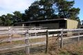 Property photo of 90 Robinson Road Bringelly NSW 2556