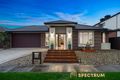 Property photo of 12 Snowy Drive Lynbrook VIC 3975