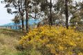 Property photo of 10 Shearer's Close Muswellbrook NSW 2333