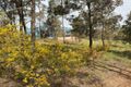 Property photo of 10 Shearer's Close Muswellbrook NSW 2333