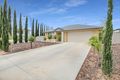 Property photo of 30 Ian Showell Drive Renmark SA 5341