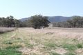 Property photo of 849 Nundle Road Piallamore NSW 2340