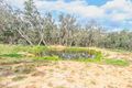 Property photo of 221 Pines Road Wannamal WA 6505