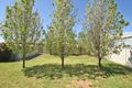 Property photo of 524 Eleventh Street Mildura VIC 3500