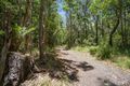 Property photo of 55 Lake Flat Road Boreen Point QLD 4565