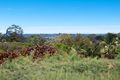 Property photo of 4 Figtree Road Terranora NSW 2486