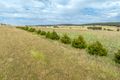 Property photo of Peabody Road Molong NSW 2866