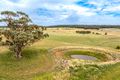 Property photo of Peabody Road Molong NSW 2866