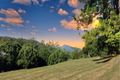 Property photo of 240 Rowlands Creek Road Uki NSW 2484