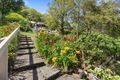 Property photo of 79 Ewing Street Murwillumbah NSW 2484