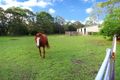 Property photo of 19 Condamine Crescent Helensvale QLD 4212