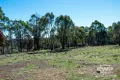 Property photo of 2207 Emmaville Road Reddestone NSW 2370