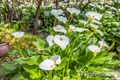 Property photo of 45 Moray Road Glen Forrest WA 6071