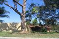 Property photo of 10 Poulter Avenue Engadine NSW 2233
