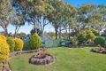 Property photo of 380 Coolangatta Road Bilinga QLD 4225