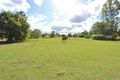 Property photo of 17 Wagtail Drive Regency Downs QLD 4341