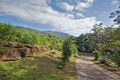 Property photo of 38 Gavin Hamilton Close Redlynch QLD 4870