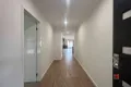 Property photo of 6 Whitebark Street Wollert VIC 3750